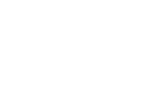 Aegir logo with "Port Property Advisers".